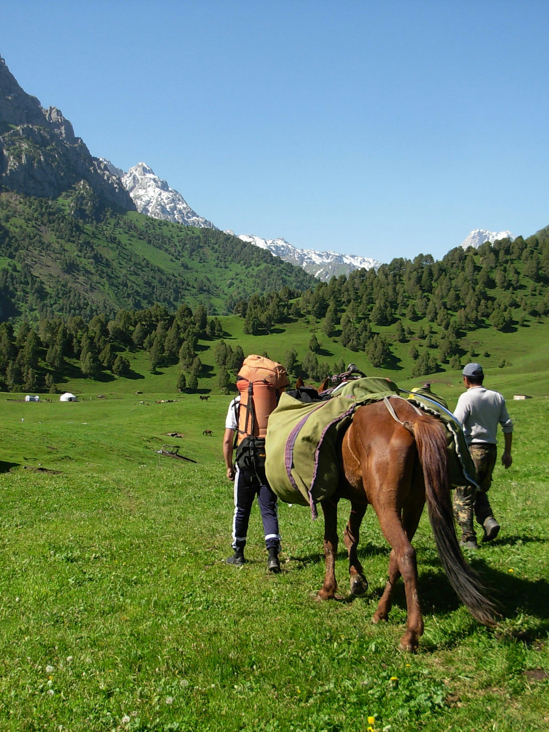 Horse trekking is a popular choice for day trips in the Alay Valley © Bradley Mayhew / Lonely Planet