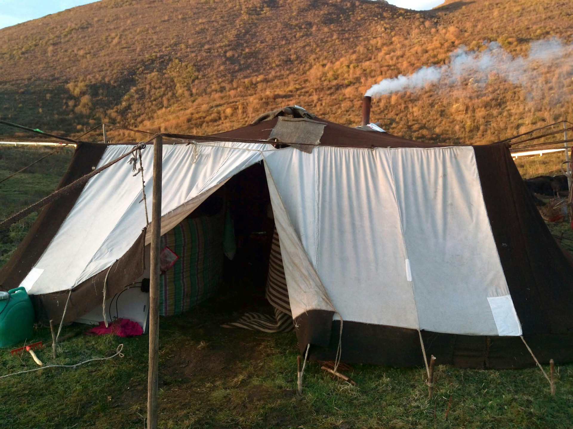 Nomads live in tents made of yak hair © Tess Humphrys / Lonely Planet