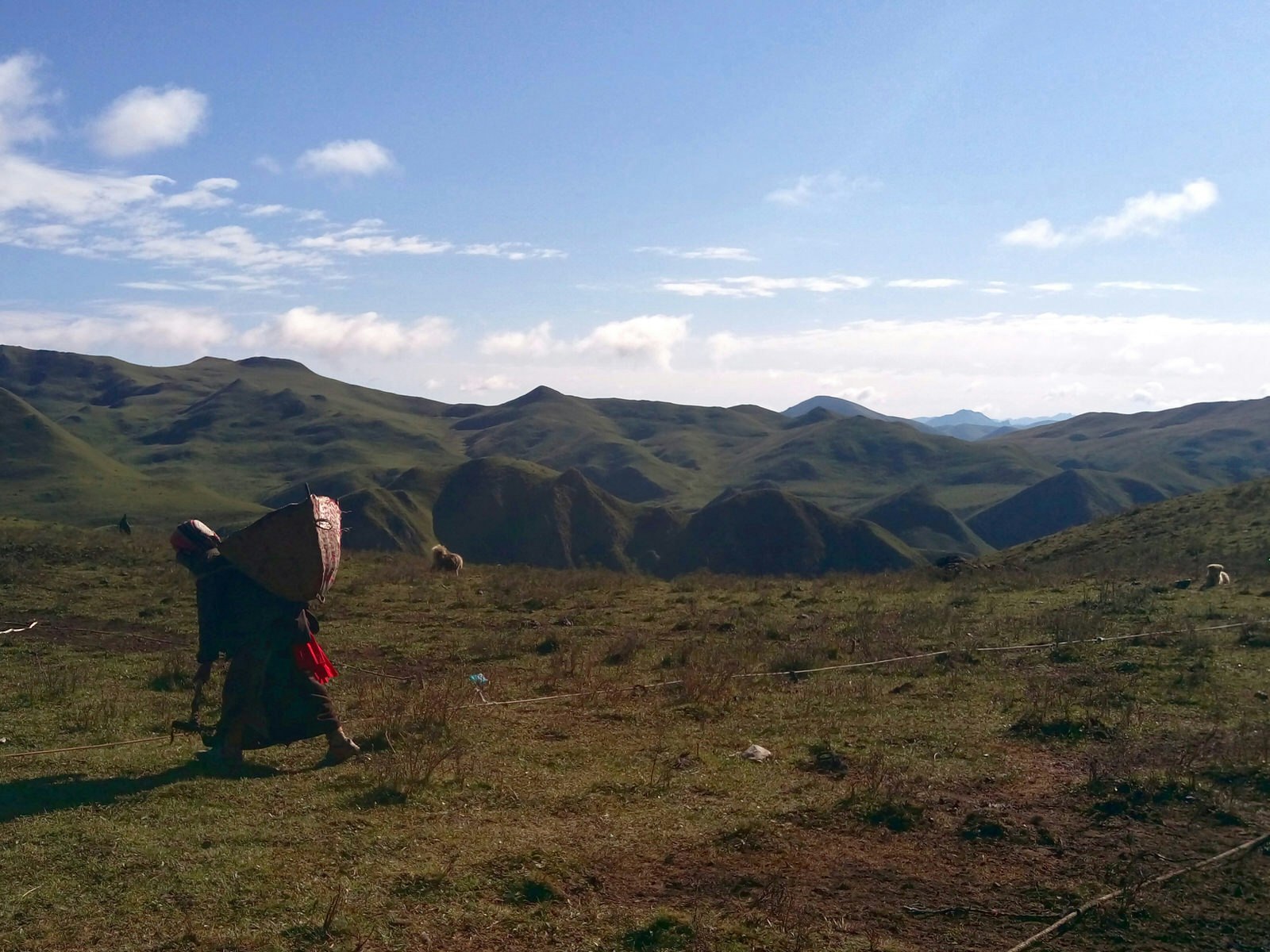 Nomadic women take care of all aspects of camp life © Tess Humphrys / Lonely Planet