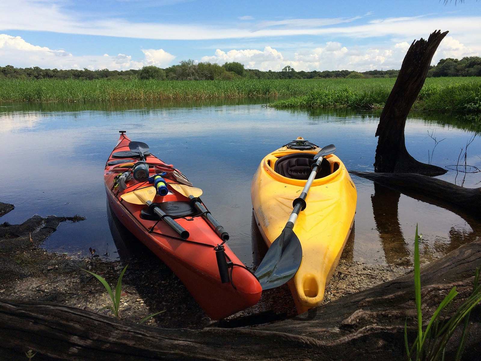 kayaks in florida state park