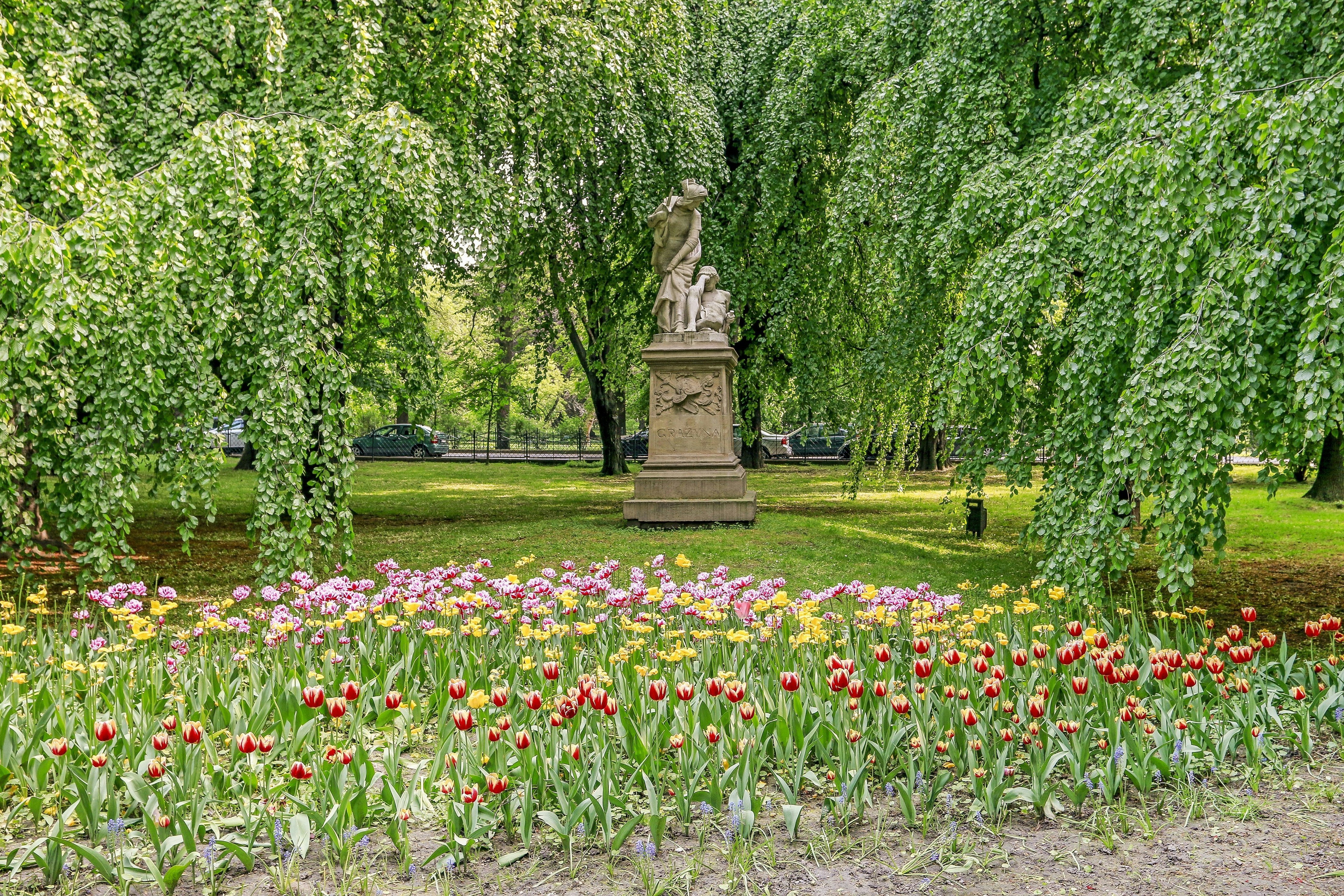 Features - planty-krakow-shutterstock-3000-cs-dd9686285ee1