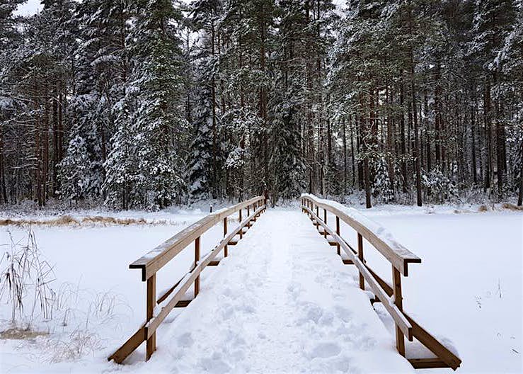 Features - 3_Finland_20161112_113616_watermark-a25ec2535dd1 A snowy scene in Nuuksio National Park, one of Finland's many spine-tingling landscapes © Emma Sparks / Lonely Planet