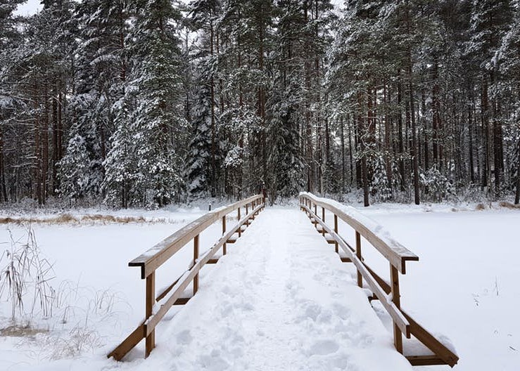 A snowy scene in Nuuksio National Park, one of Finland's many spine-tingling landscapes © Emma Sparks / Lonely Planet