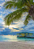 Sunset over Pebbles Beach, Bridgetown, Barbados. A pier stretches over the blue-green sea to a yellow building. There's a palm tree in the foreground leaning over the sandy beach