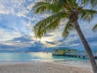 Features - Caribbean, Barbados, Bridgetown, Carlisle Bay, Pebbles Beach at sunset