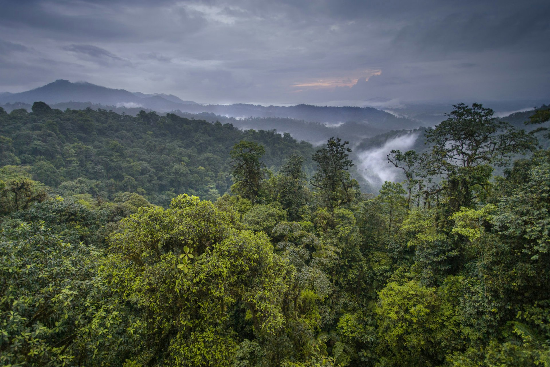 View from Mashpi Lodge across its cloud forest reserve