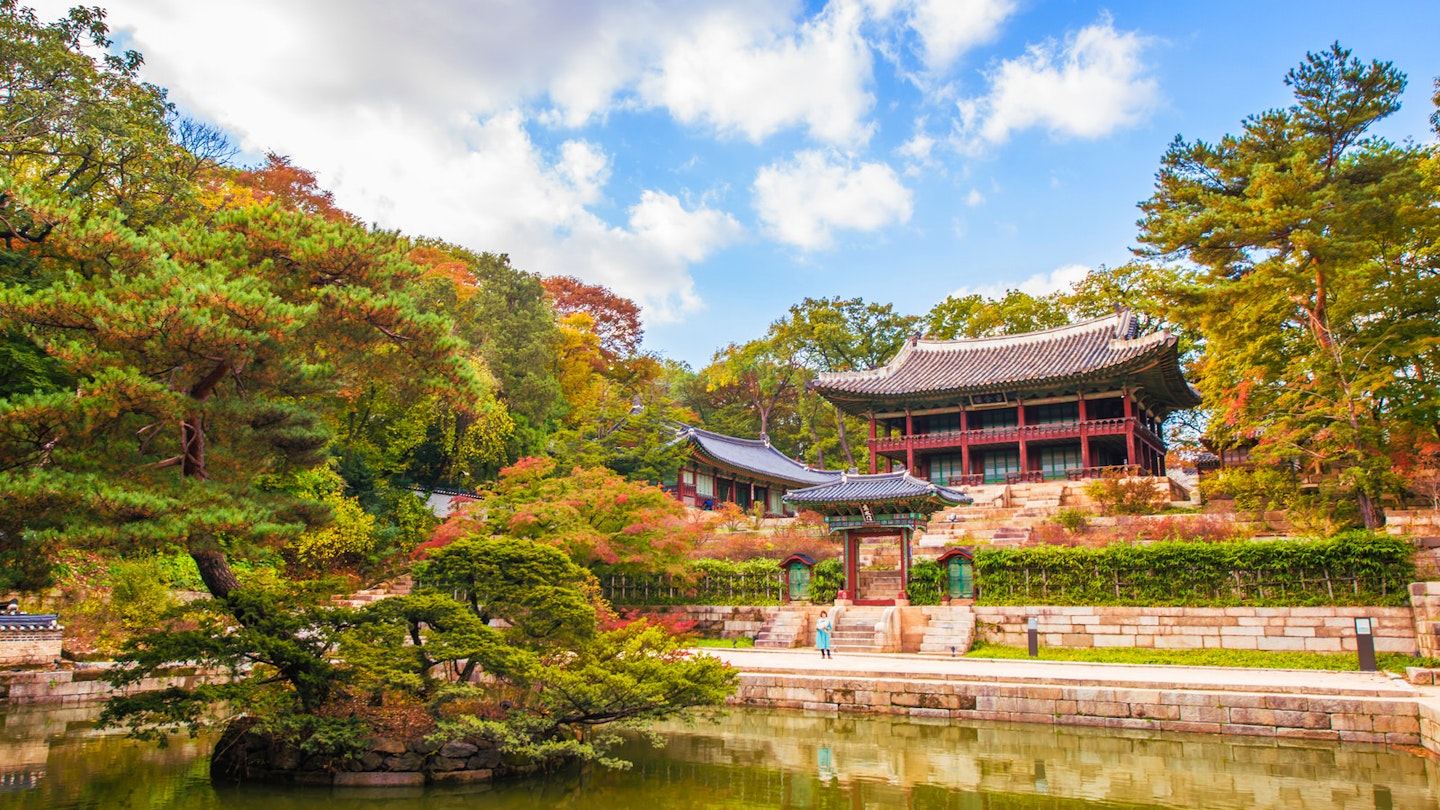 Wonderful wander: the Secret Garden in Changdeokgung, Seoul © Chinnaphong Mungsiri / Getty