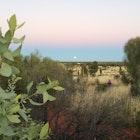 Moon rise over desert Uluru