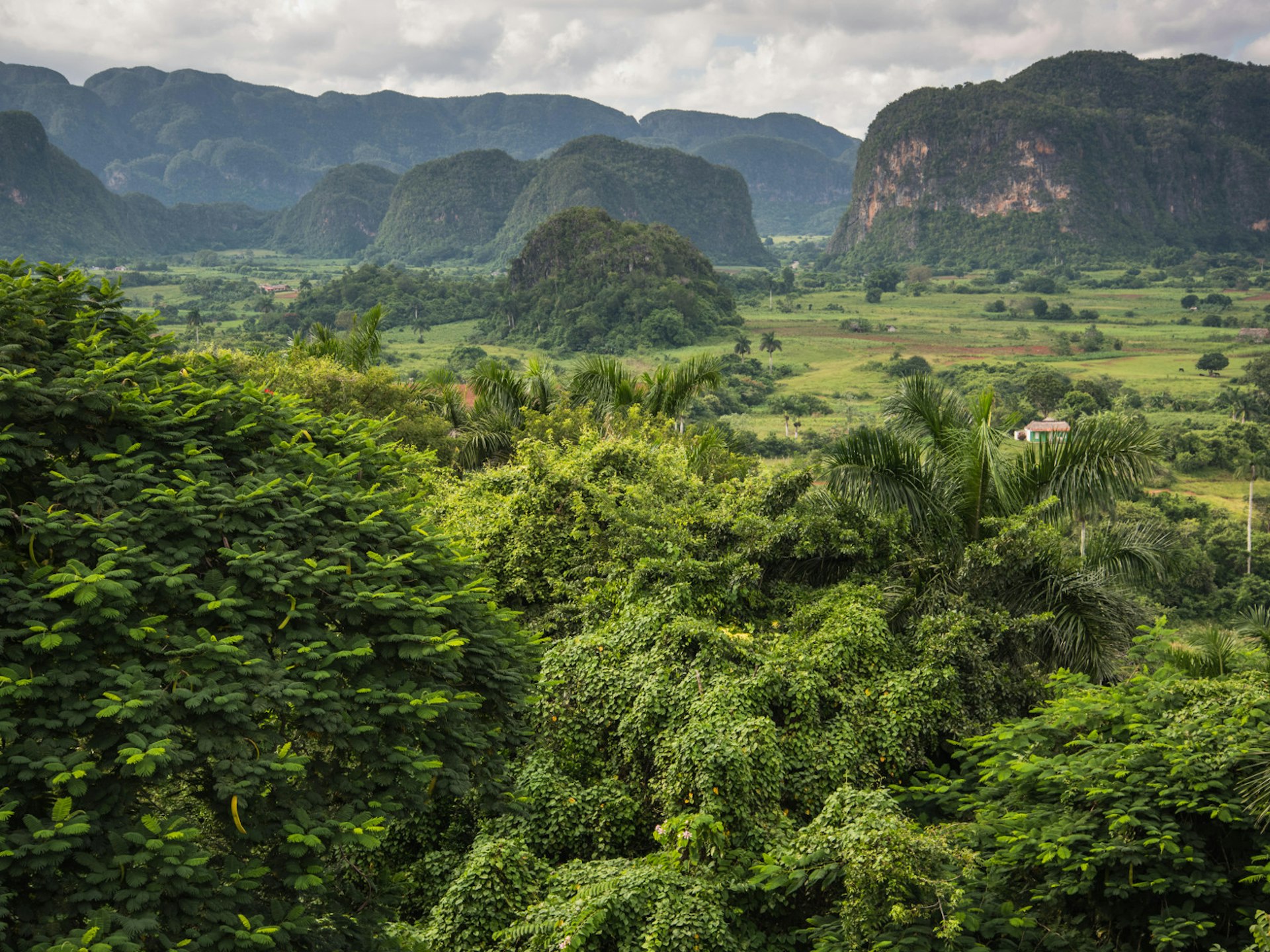 Overlooking the tobacco plantations of of the Valle Vinales © merc67 / Shutterstock