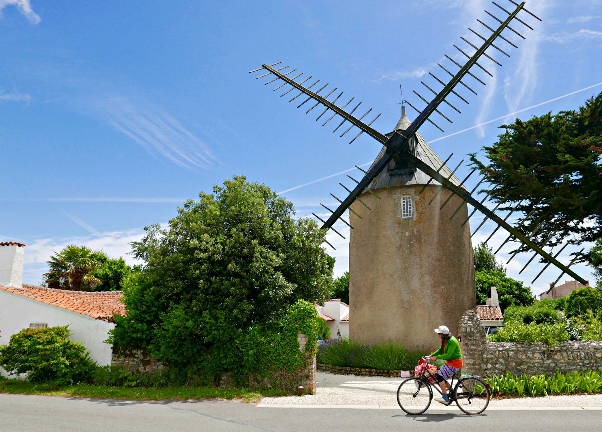 A cyclist cruises along a country lane near St-Martin-de-Ré; by the lane are a stone windmill, a low white house with a red roof, and various trees and shrubbery.