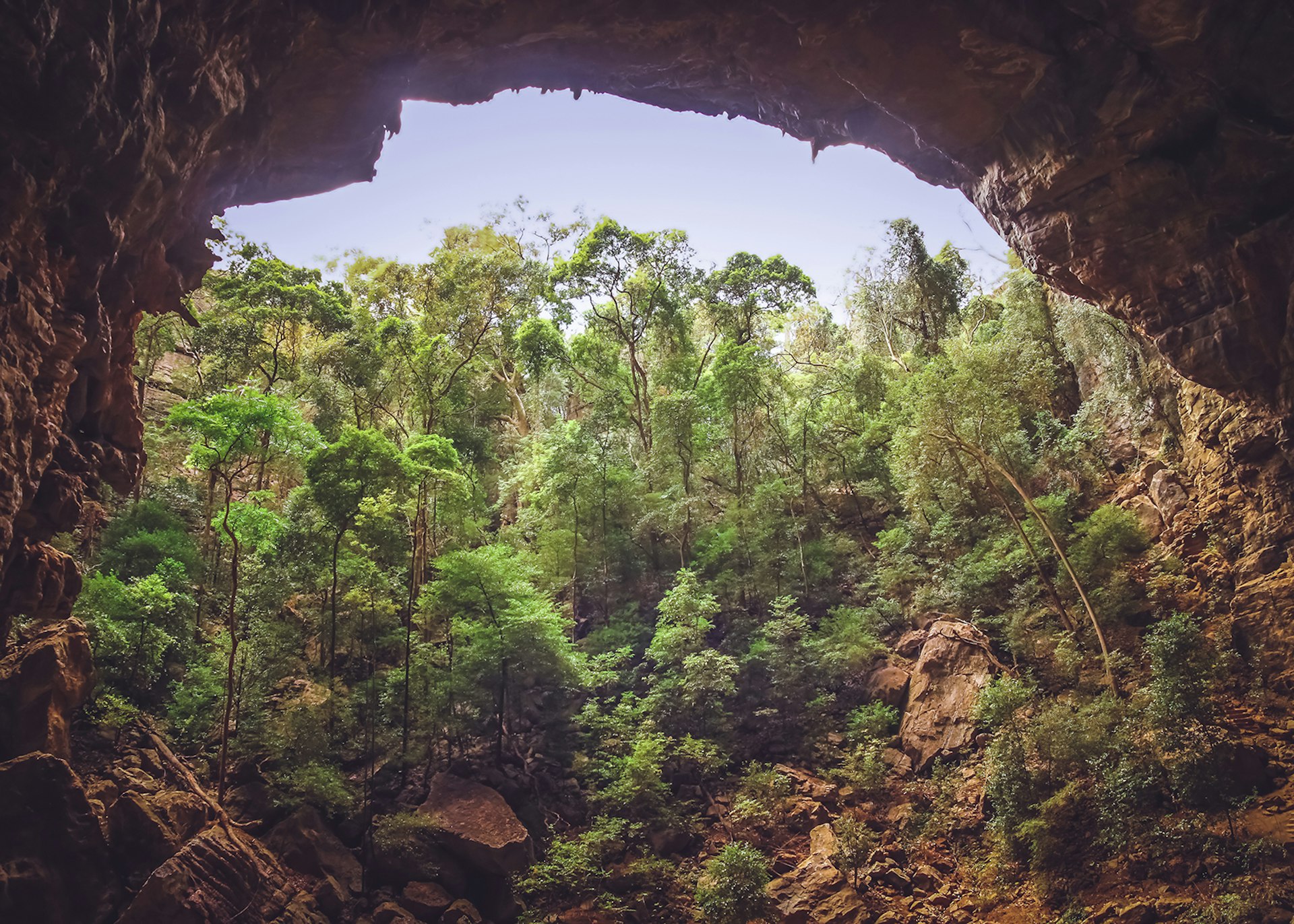 Mouth of a cave in Madagascar's Ankarana National Park © aaabbbccc / Shutterstock