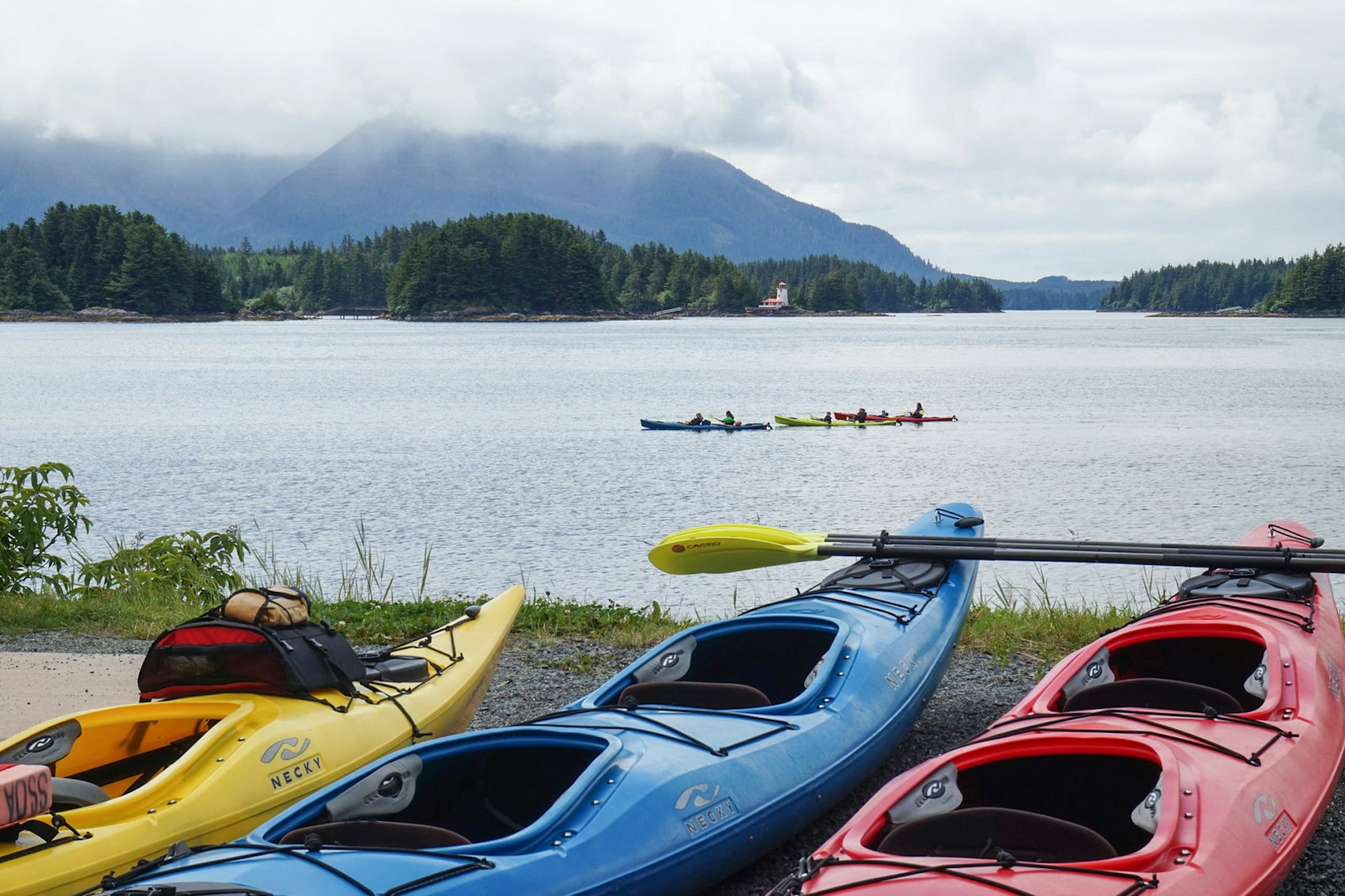 Kayaks lined up on a shore near Sitka