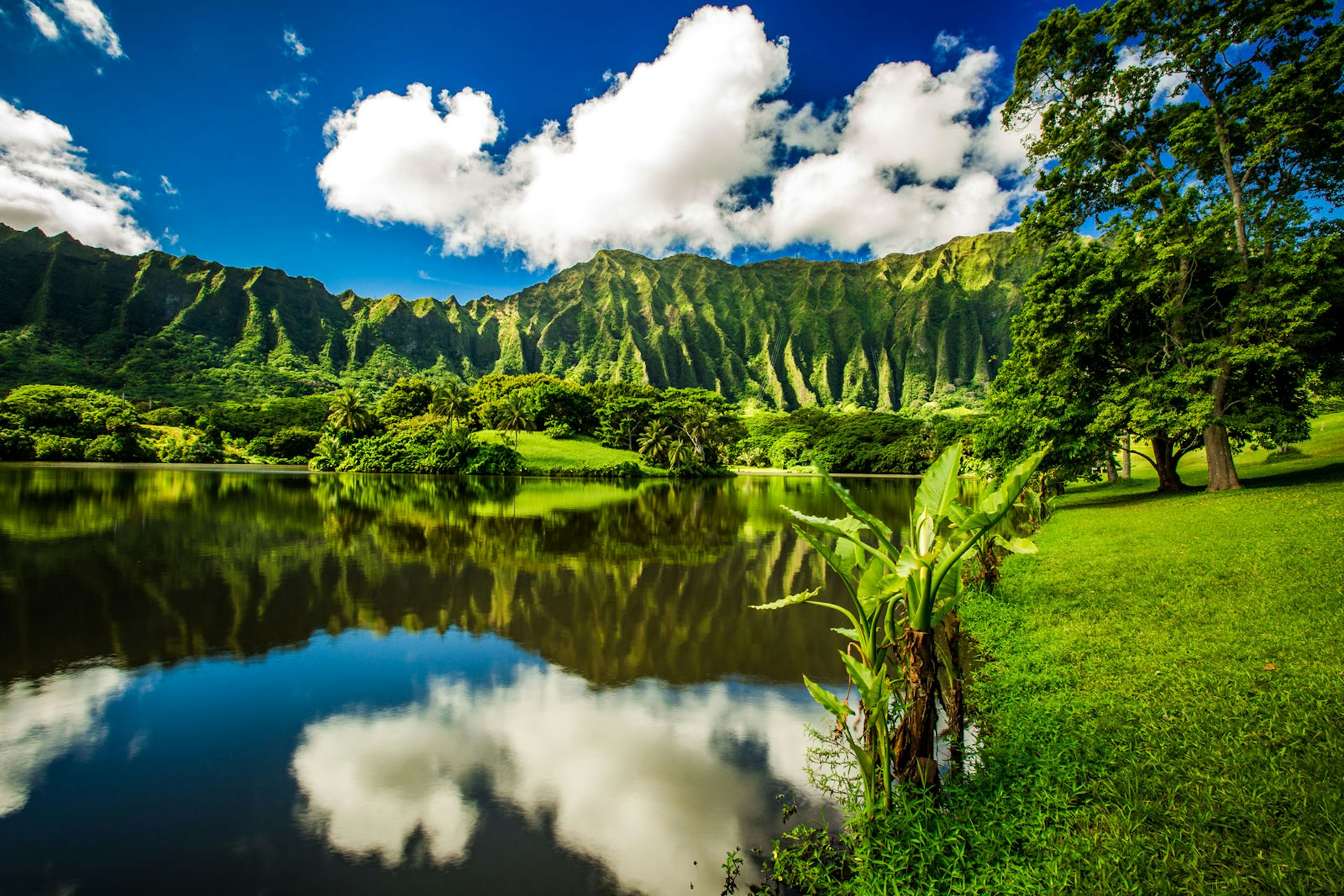 Ho'omaluhia Botanical Garden in Kaneohe, Oahu, Hawaii