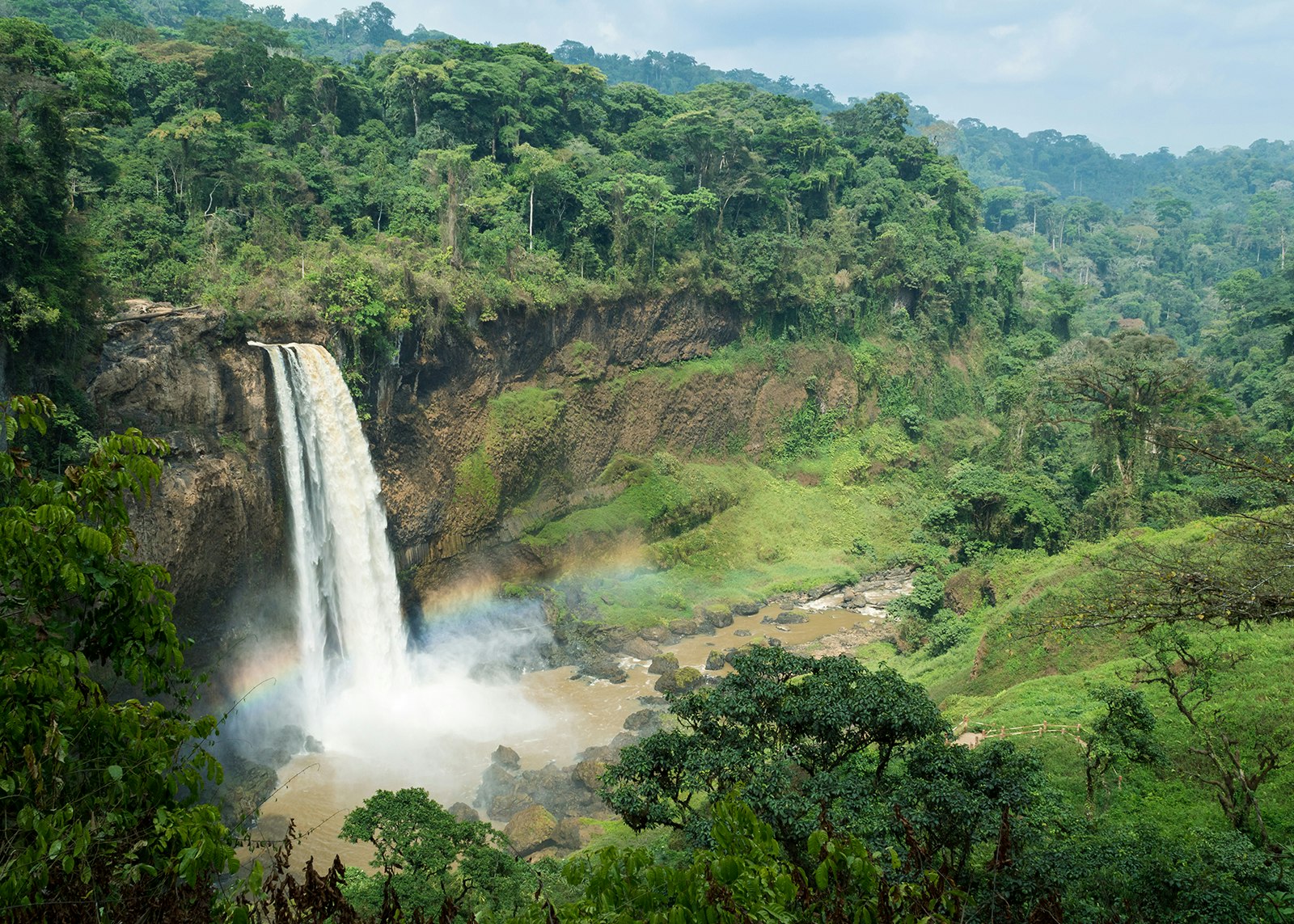 Ekom-Nkam Waterfalls in the rainforest, Melong, Cameroon, Africa © antoineed / Getty Images