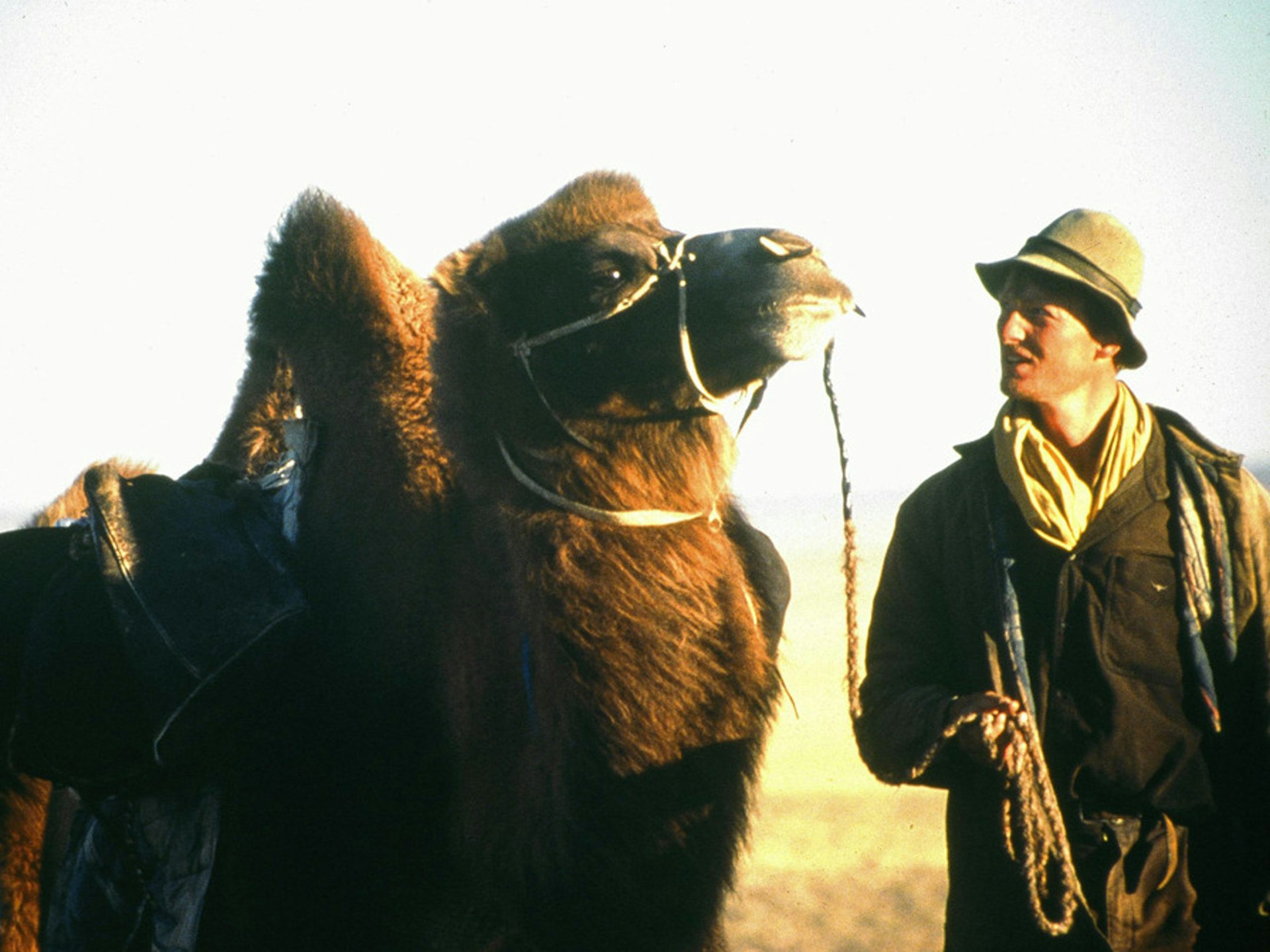 A photo of Benedict Allen and one of his camels while crossing the Gobi Desert