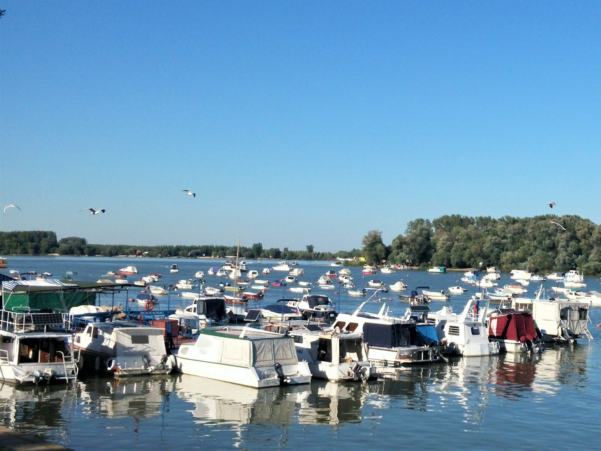 Boats docked on Danube Quay in the quaint Zemun neighbourhood © Nevena Paunovic / Lonely Planet