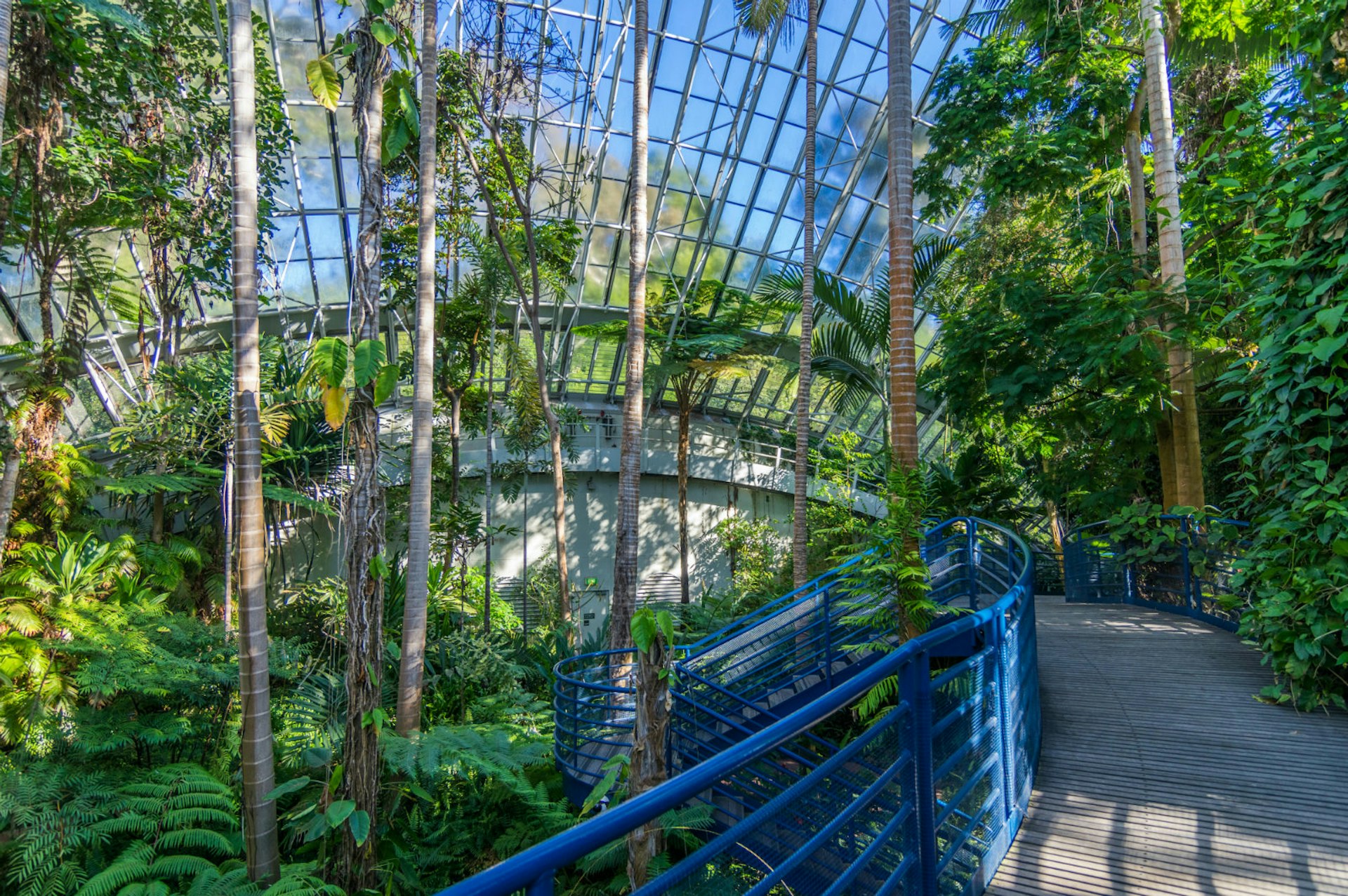 The Botanic Gardens provide hours of fascination and awe