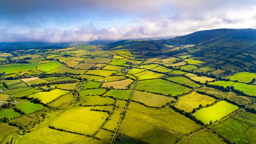 Ett flygfoto över de gröna fälten i Tipperary, Irland.  Fälten är alla lite olika gröna nyanser, som liknar ett lapptäcke