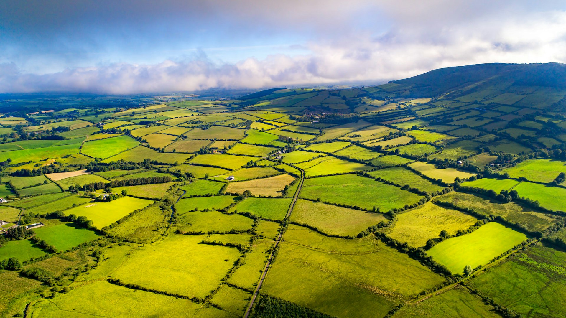 An aerial shot of the green fields of Tipperary, Ireland. The fields are all slightly different shades of green, resembling a patchwork quilt