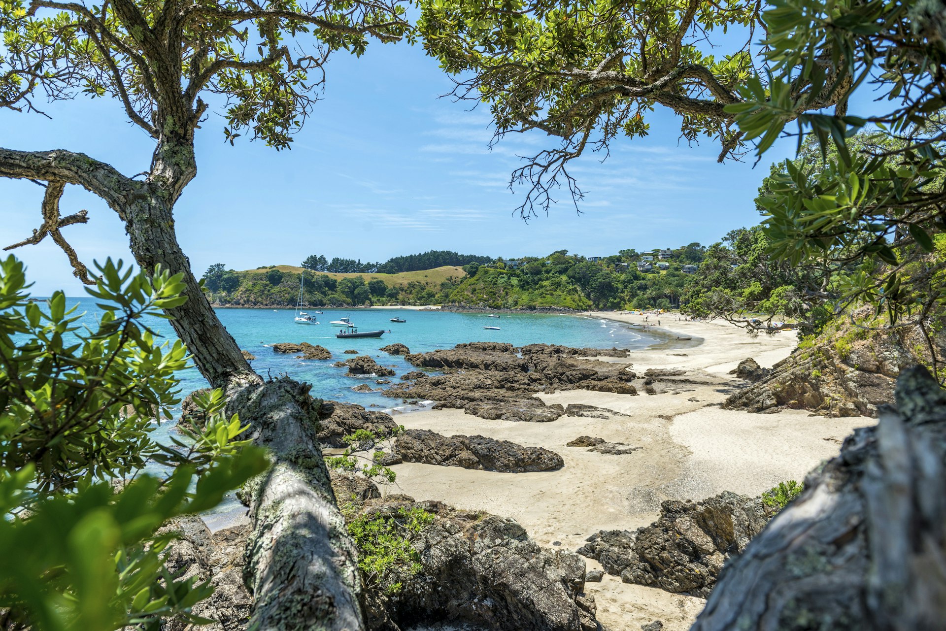 Features - Beach view, Waiheke Island.