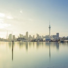 Features - Auckland city in the morning