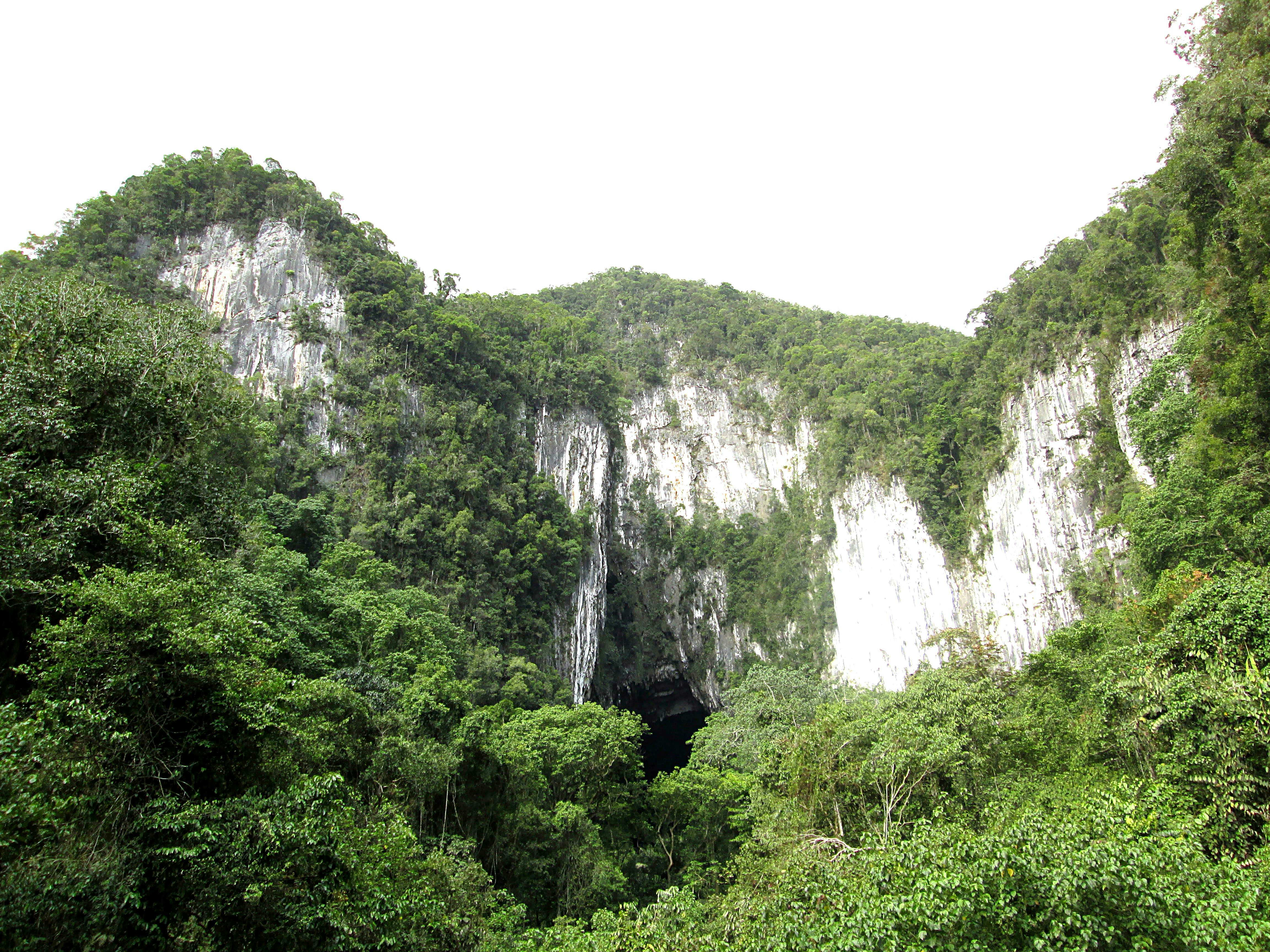 Into The Heart Of Borneo: A Guide To Sarawak’s National Parks - Lonely ...