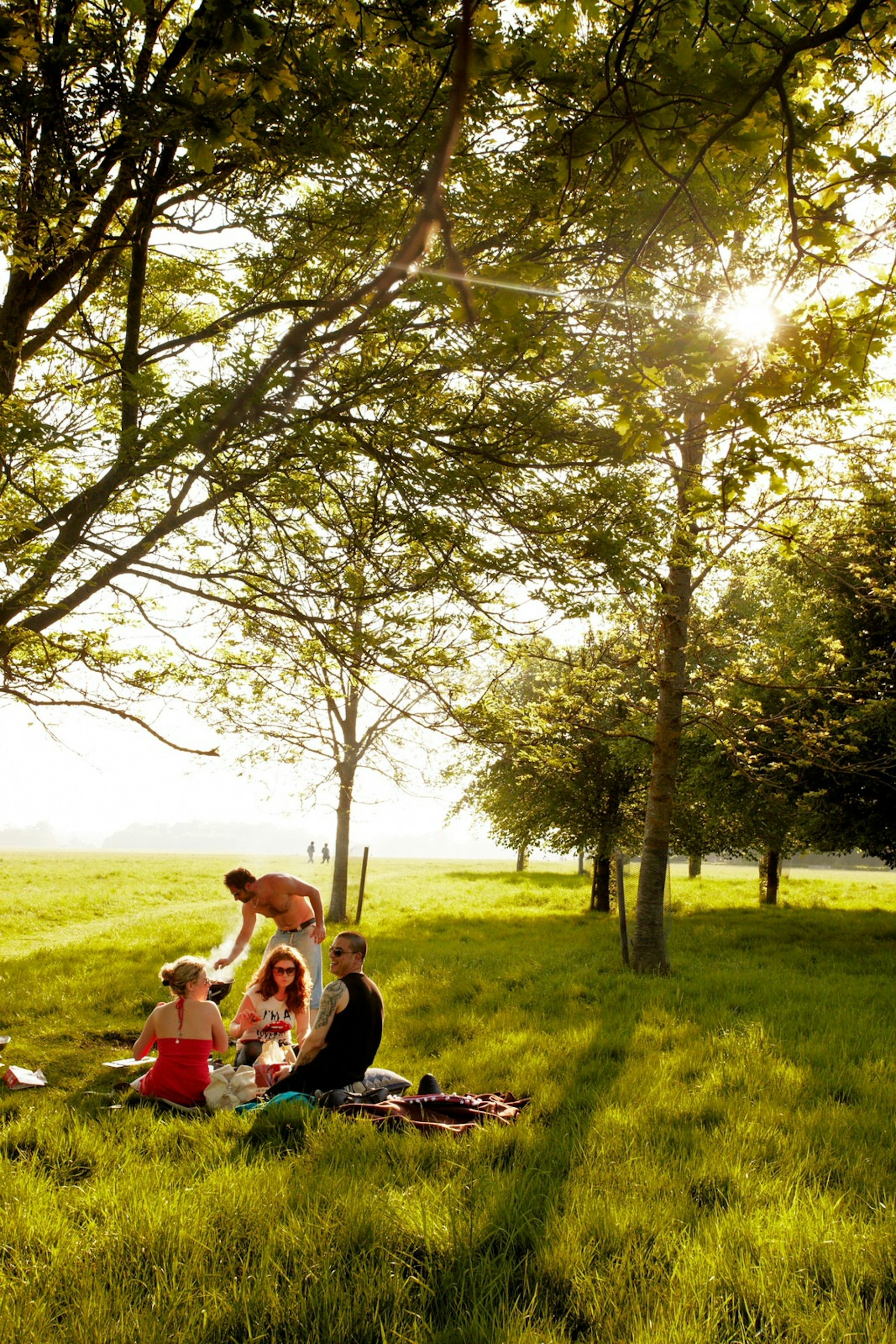 A group of friends has a picnic under the trees in Phoenix Park