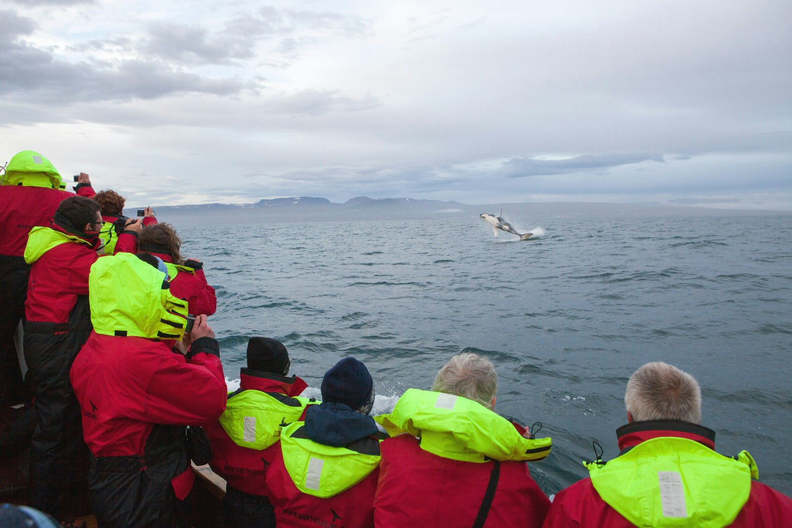 Passengers gaze from a whale-watching tour boat in Skjálfandi Bay, North Iceland © Egill Bjarnason / Lonely Planet