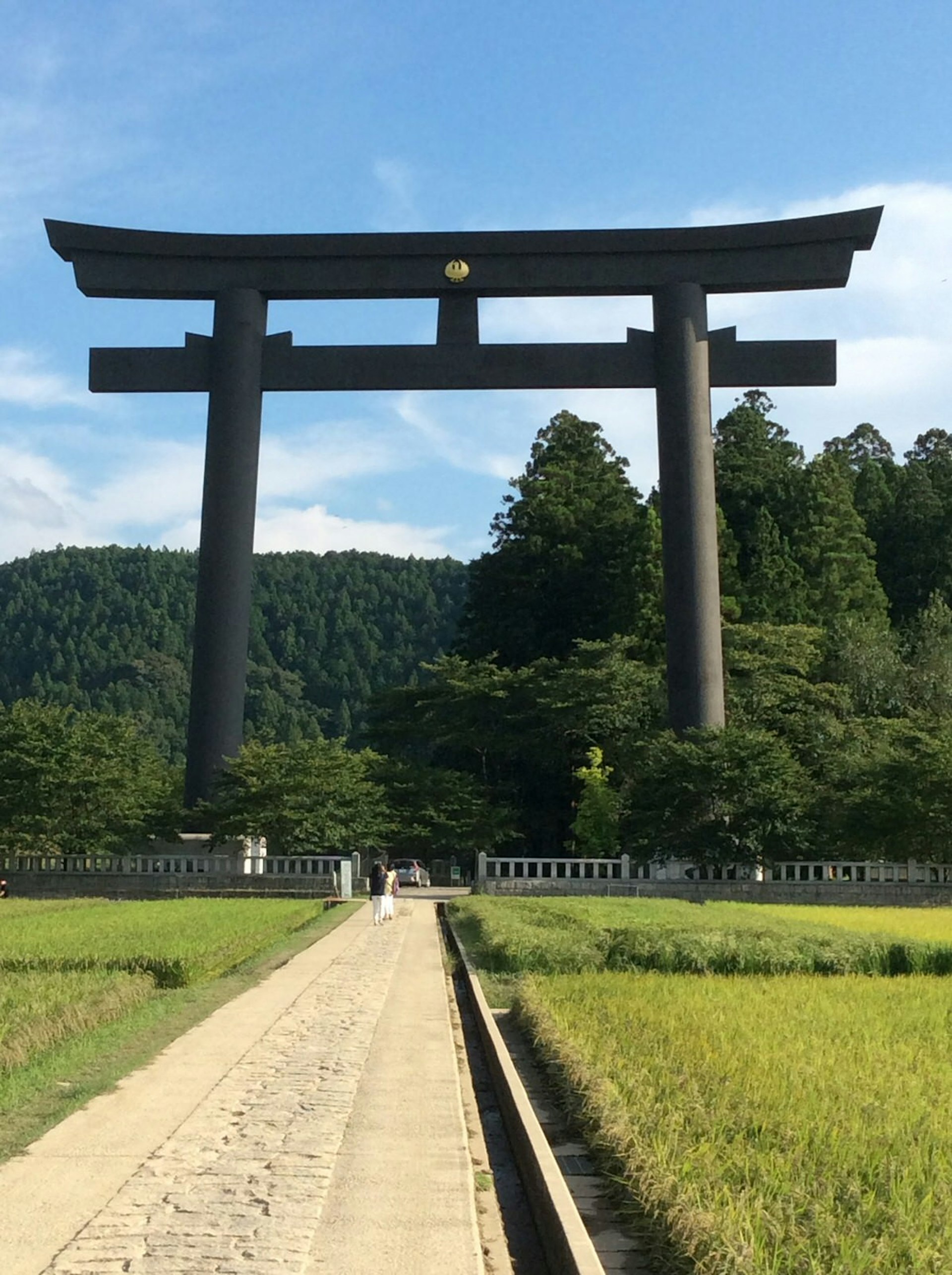Japan's largest Shintō torii gate sits amid rice paddies in Hongū