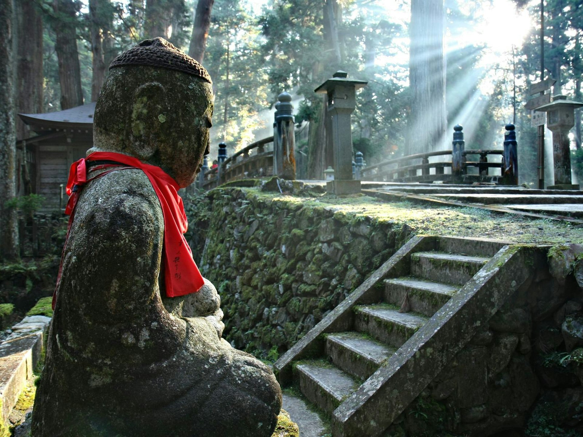 Sunlight through the trees at Oku-no-in cemetery, Kōya-san 