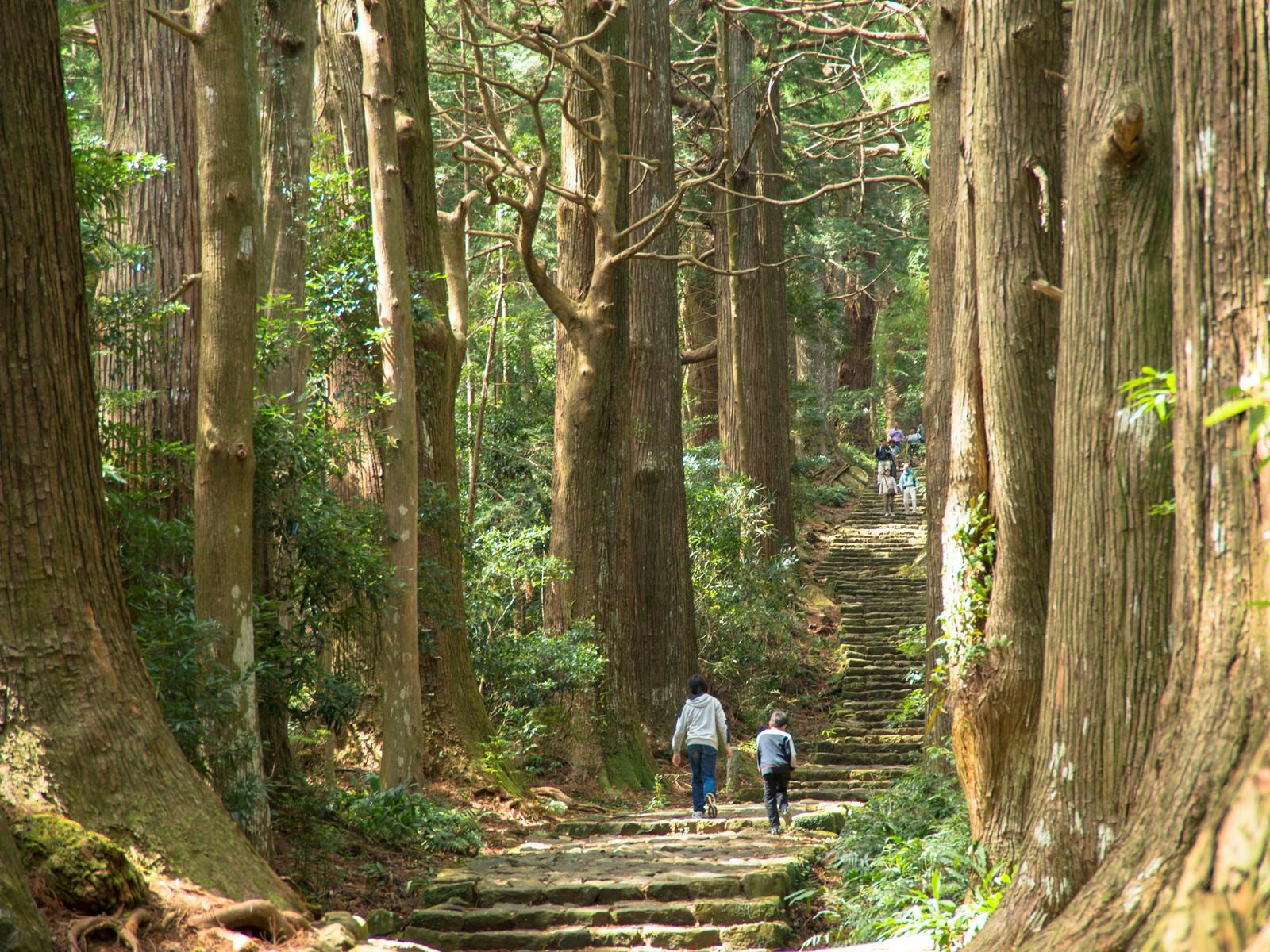 Walkers on the Kumano Kodō in the Kii Peninsula