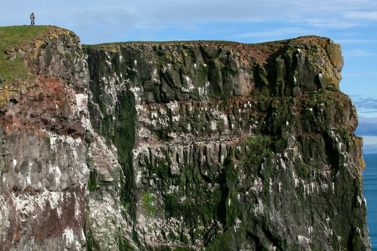 The cliffs at Látrabjarg in Iceland's Westfjords rise from sea to sky, and are packed with birds in summer, making them a top wildlife-watching spot © Egill Bjarnason / Lonely Planet