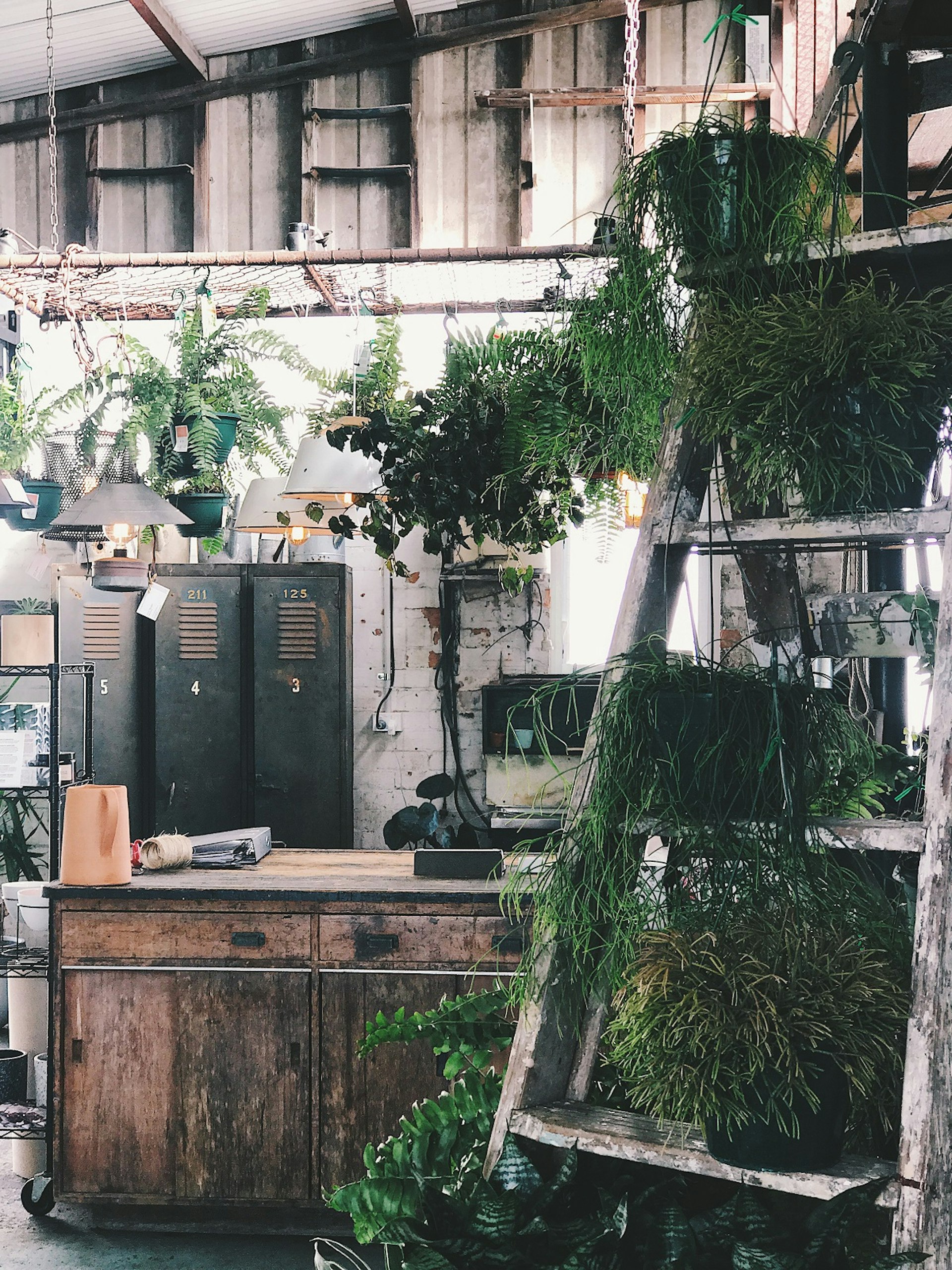 The Borrowed Nursery, the Gold Coast, Australia, ferns, greenery, plants, Processed with VSCO with f1 preset