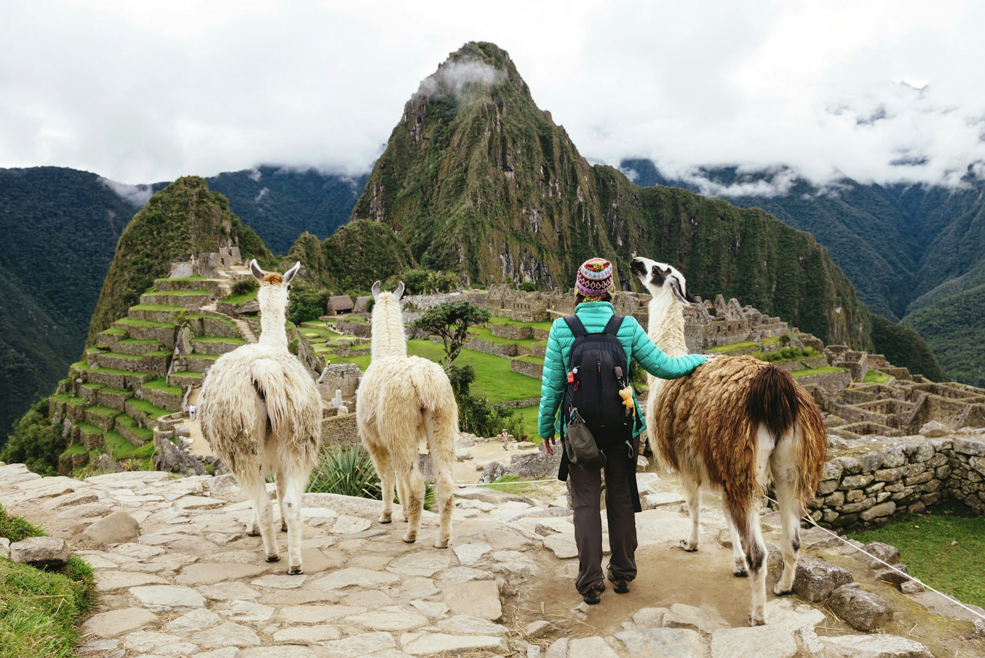 wedding anniversary trip ideas - A traveller poses at Machu Picchu with an alpaca.