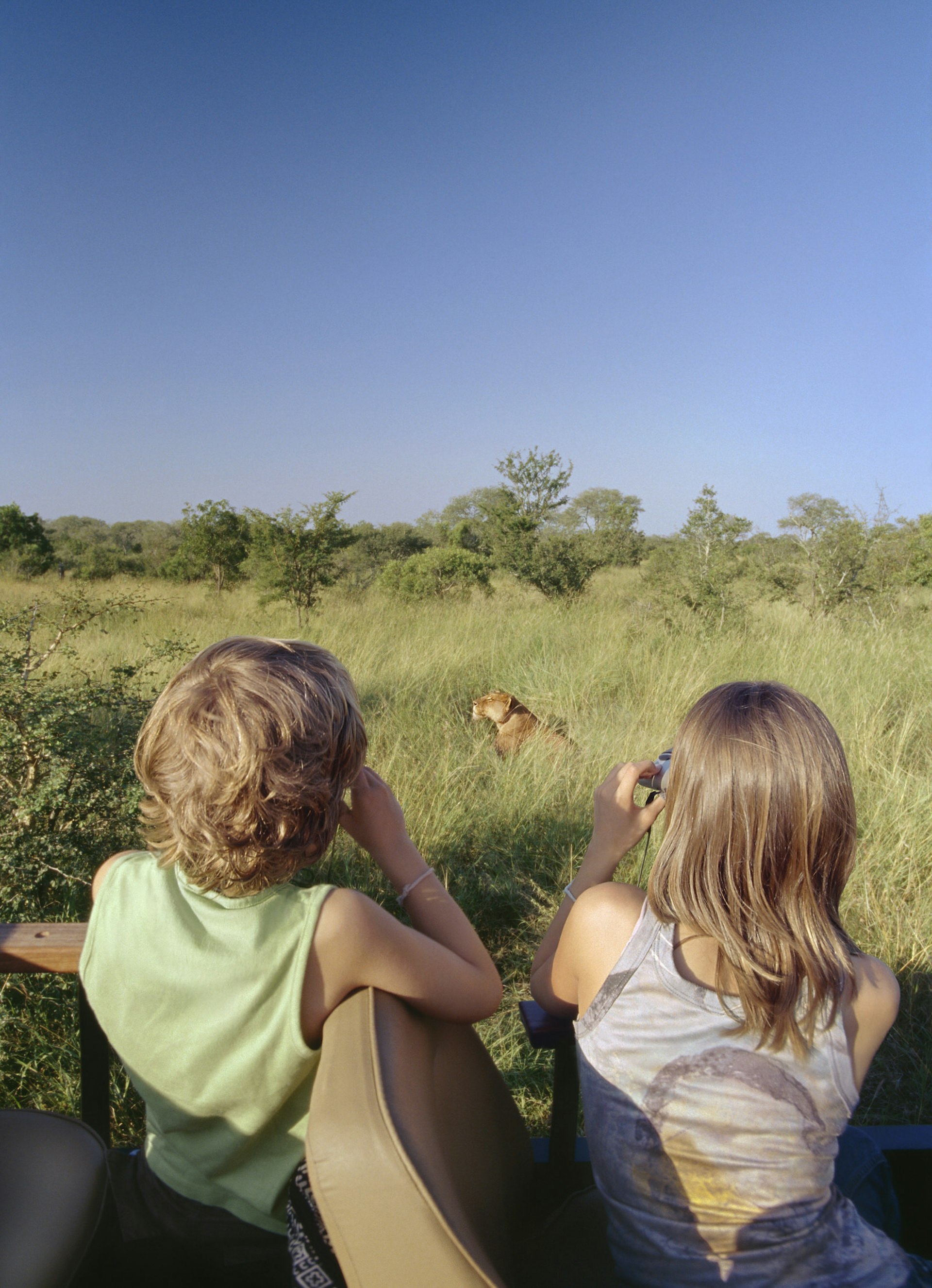 Romantic trip with kids in tow – two children watch a lion through binoculars in South Africa.