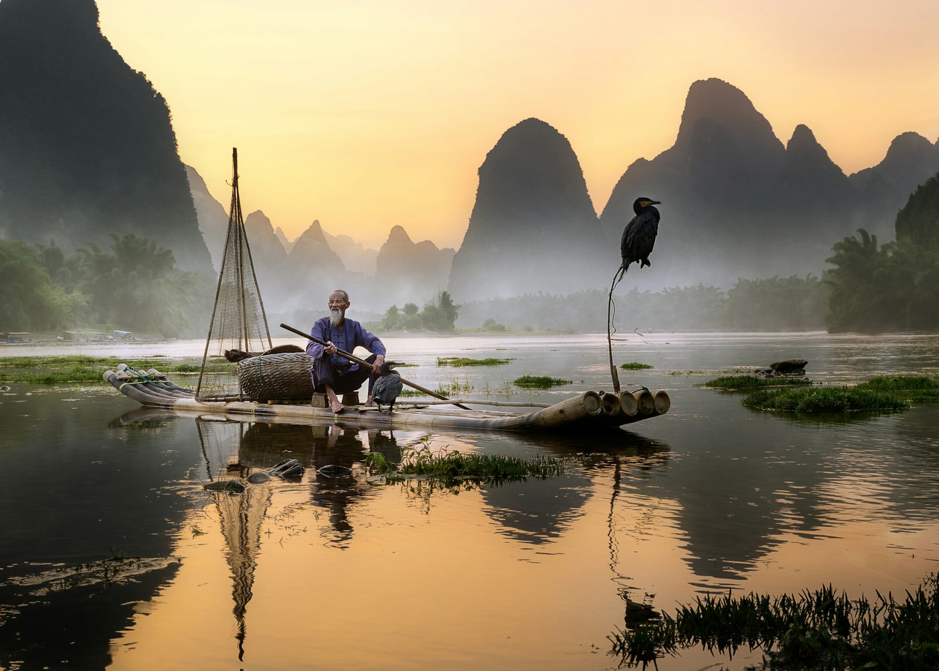 Cormorant fishing in China