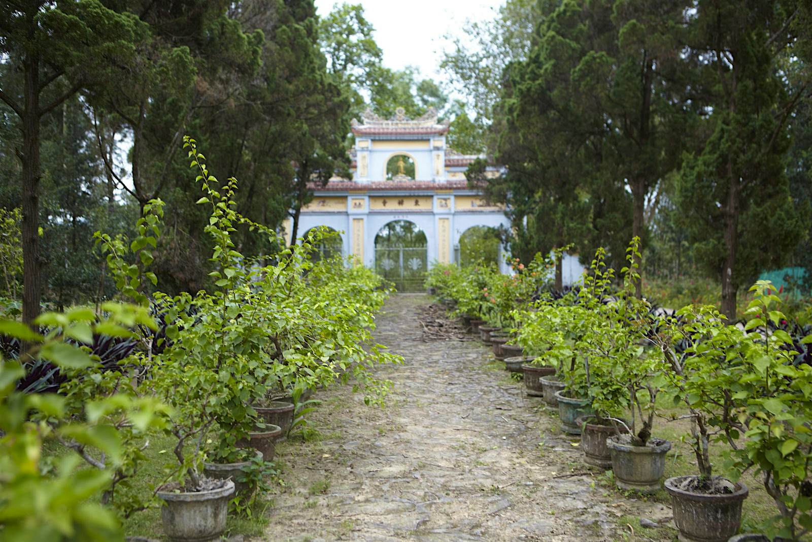 Features - IMG_0429-1-1-cfa60be29ff4 The calm gardens of Hue's 200-year-old Dong Thuyen Convent © Matt Munro / Lonely Planet