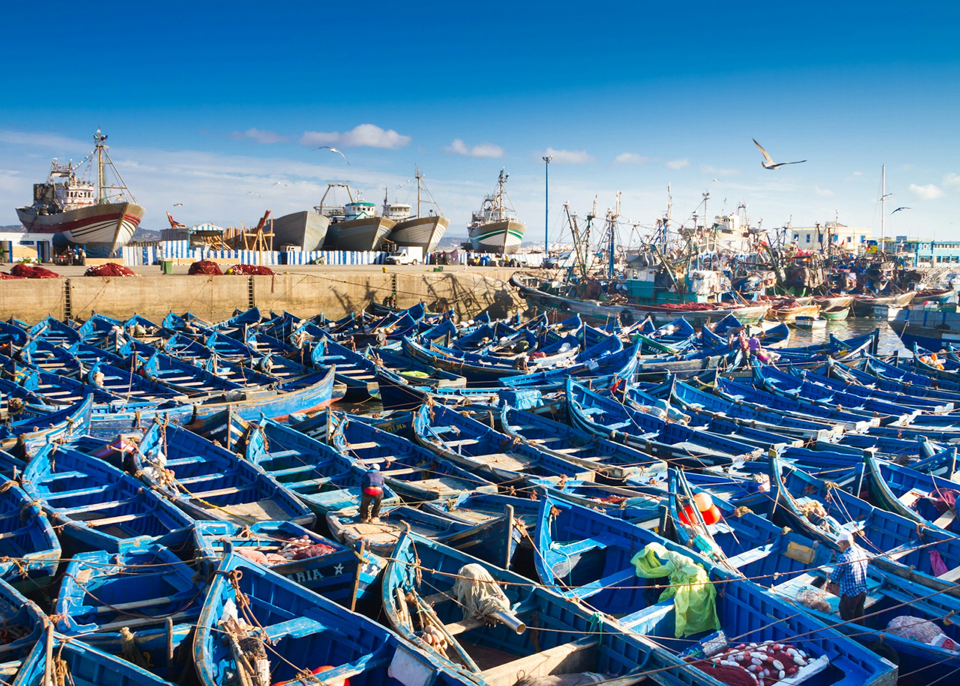 Fishing boats in Essaouira