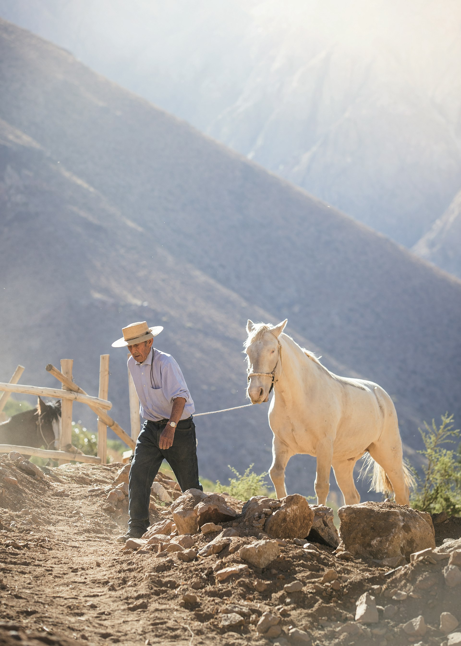 A farmer lead his horse across the hills of the Elqui Valley near Alcohuaz, Chile © Philip Lee Harvey / Lonely Planet