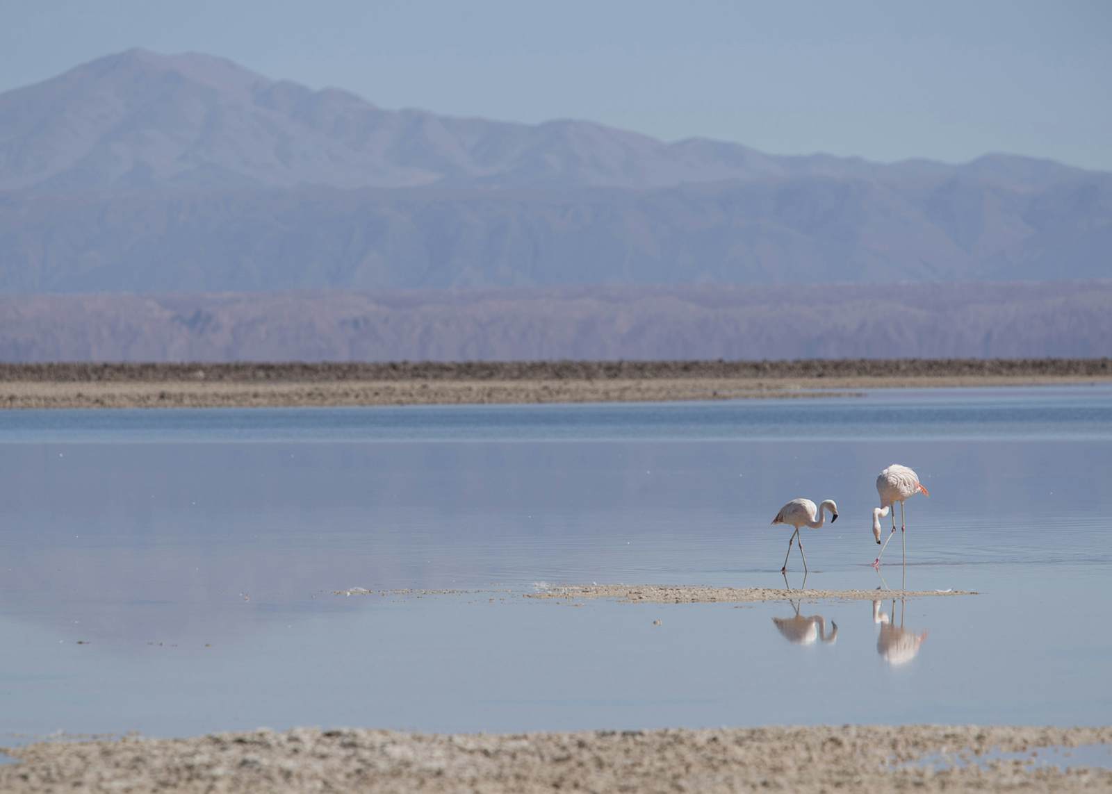 Nature Writ Large: A Great Escape To Chile – Lonely Planet - Lonely Planet