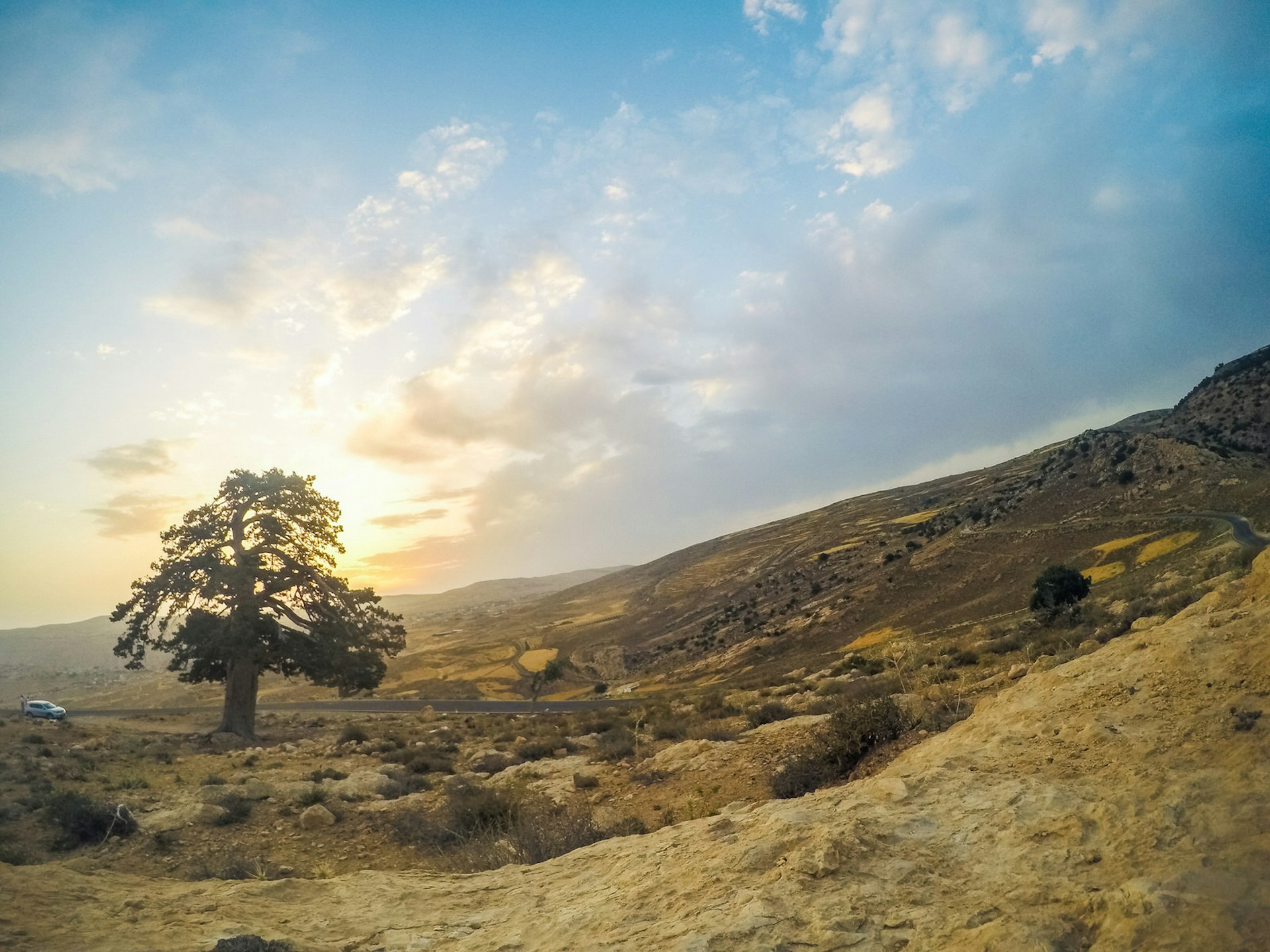 Rare encounters with a paved road along the Jordan Trail near the Dana Biosphere Reserve. Image by Ali Barqawi Studios