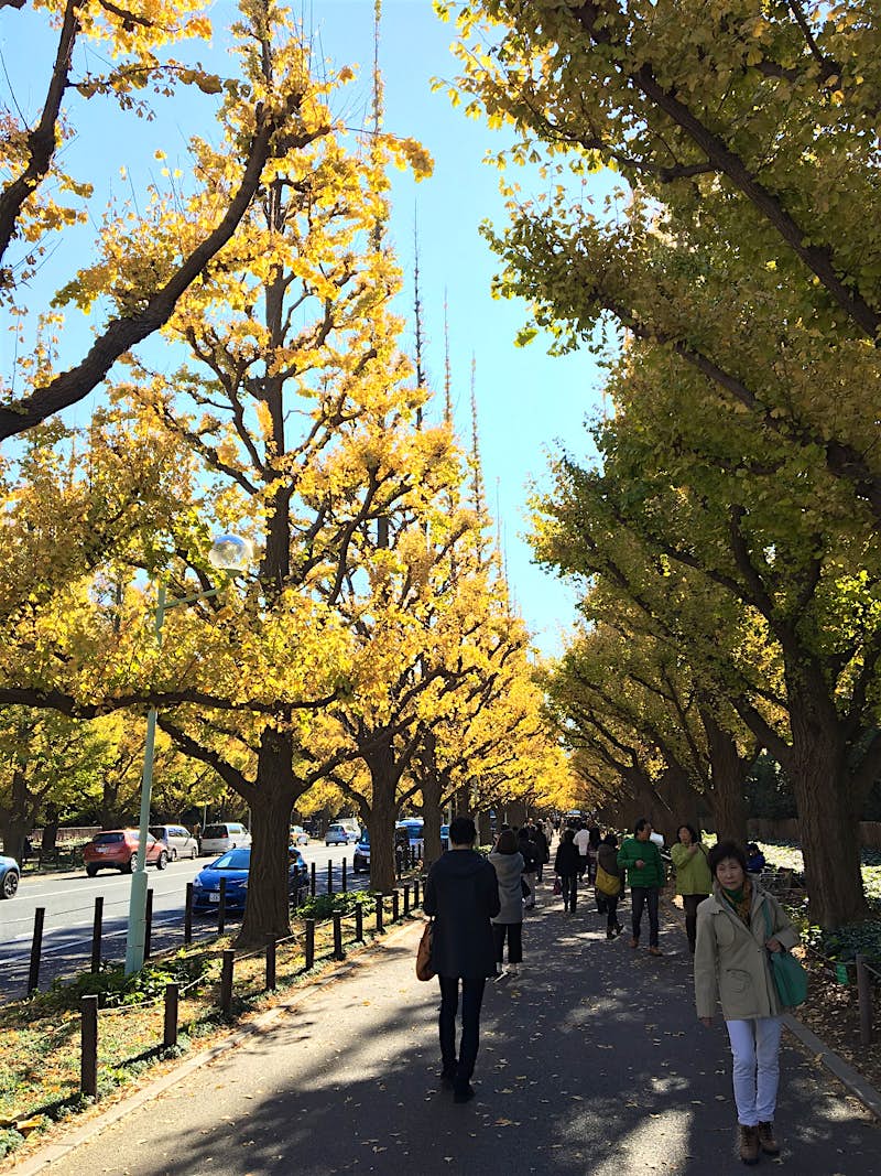 tokyo in autumn