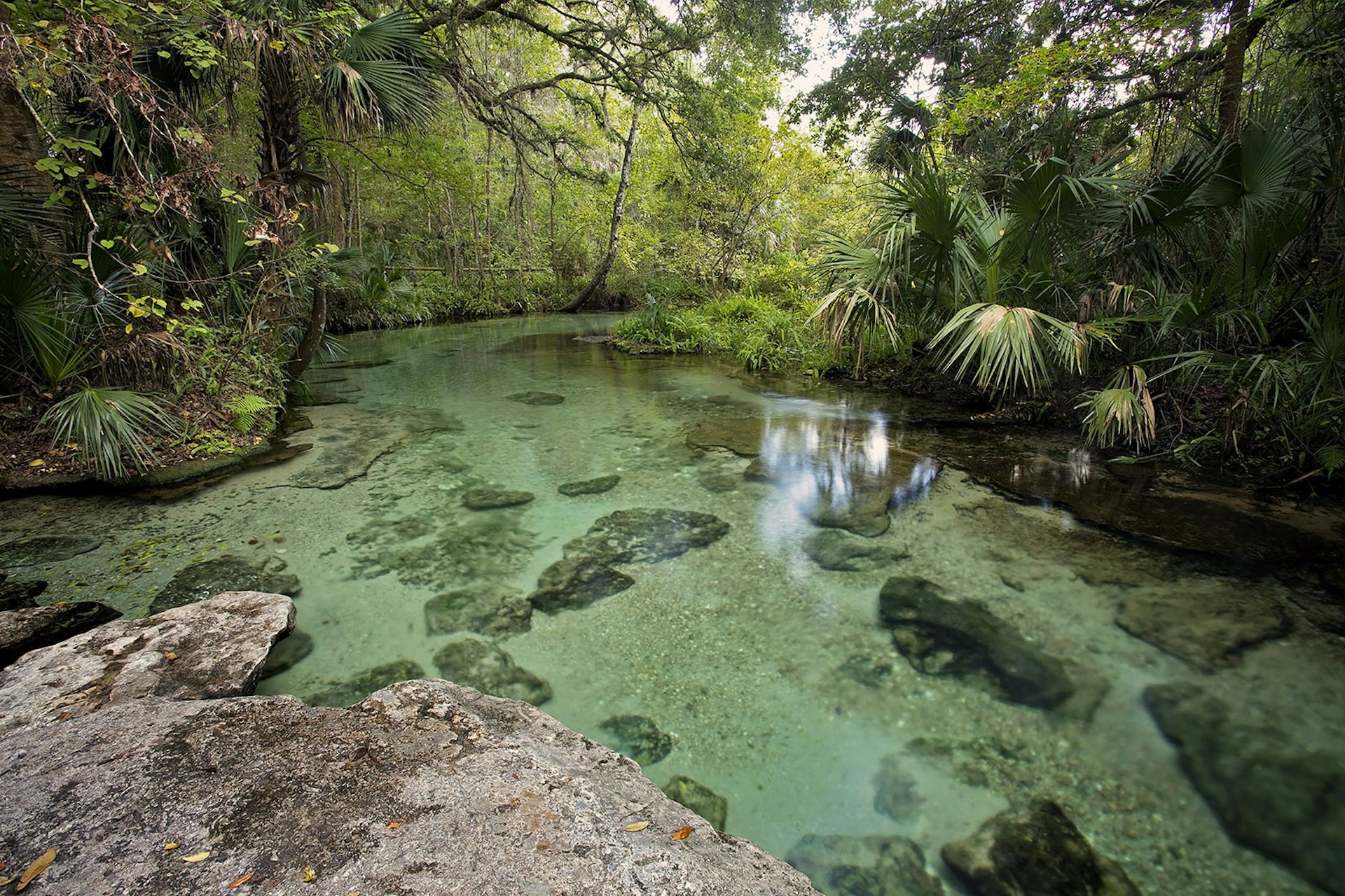 Rock Springs Run