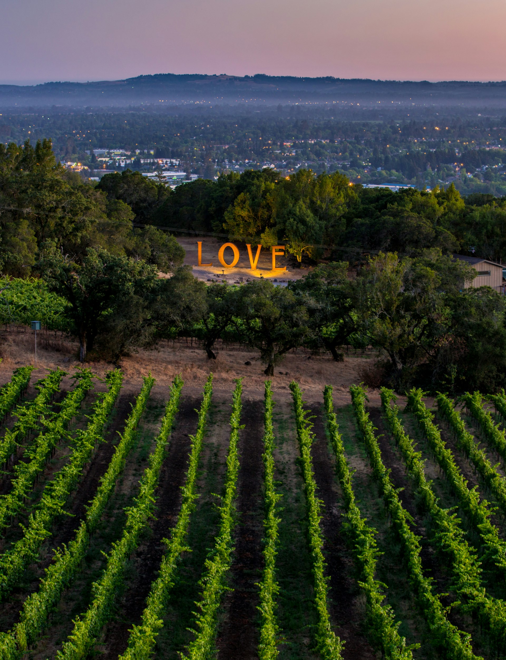 A metal sculpture of the word LOVE is viewed in a vinyard at Paradise Ridge Winery in Santa Rosa, California