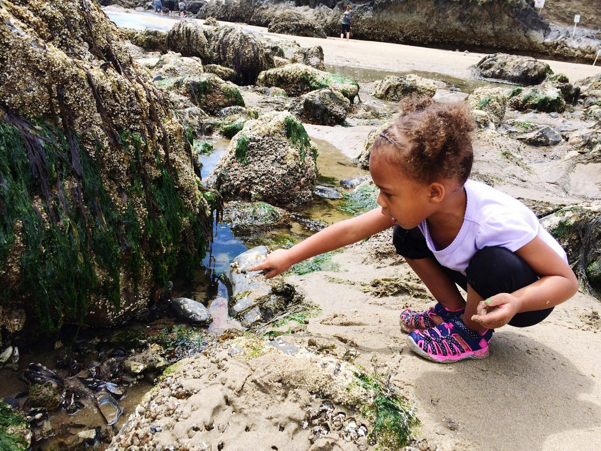 How to pack for a family beach trip - A toddler crouches and points at a rock pool on a sandy beach © Sarah Kelly / EyeEm / Getty Images