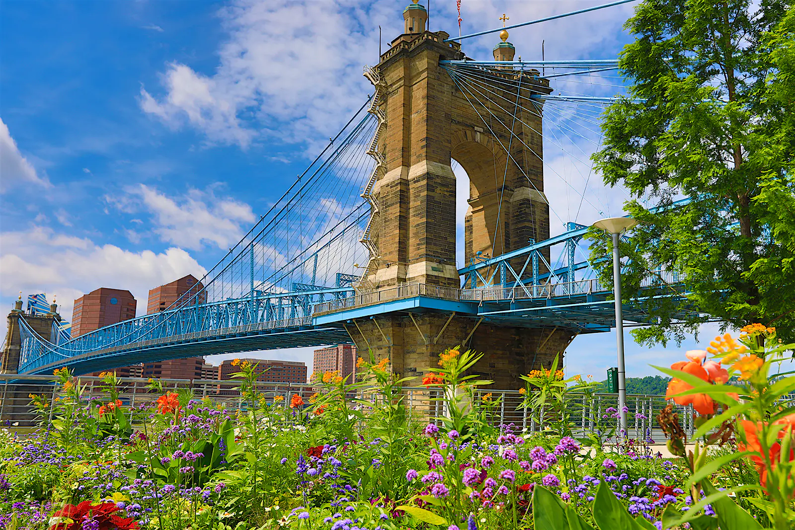 Features - The Roebling Bridge in Cincinnati in the summer spring flowers bloom beneath a gothic, warm brick suspension bridge in Cincinnati