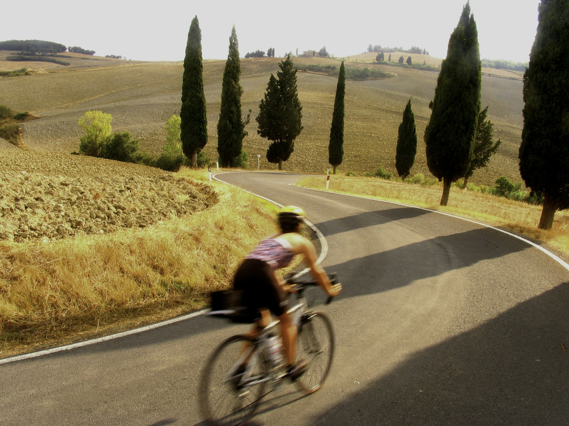 A woman on a bicycle coasts down a hill past wheat fields and cypress trees © David Epperson / Getty Images