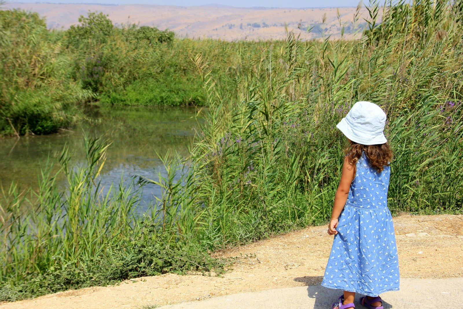 Child by a pond in Agamon HaHula bird refuge