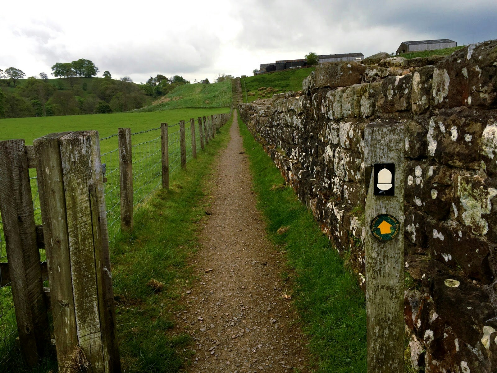 A straight walking path is marked by a signpost with an acorn symbol and the wall to the right.
