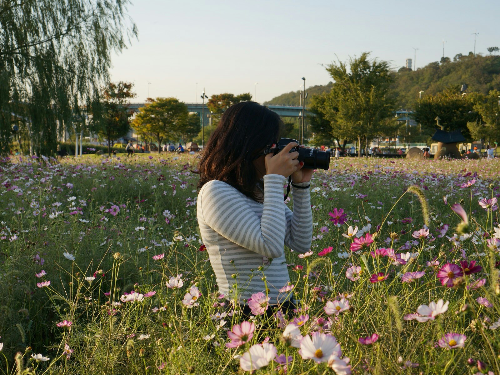 LP Local Hahna shown taking photos in a field of spring flowers